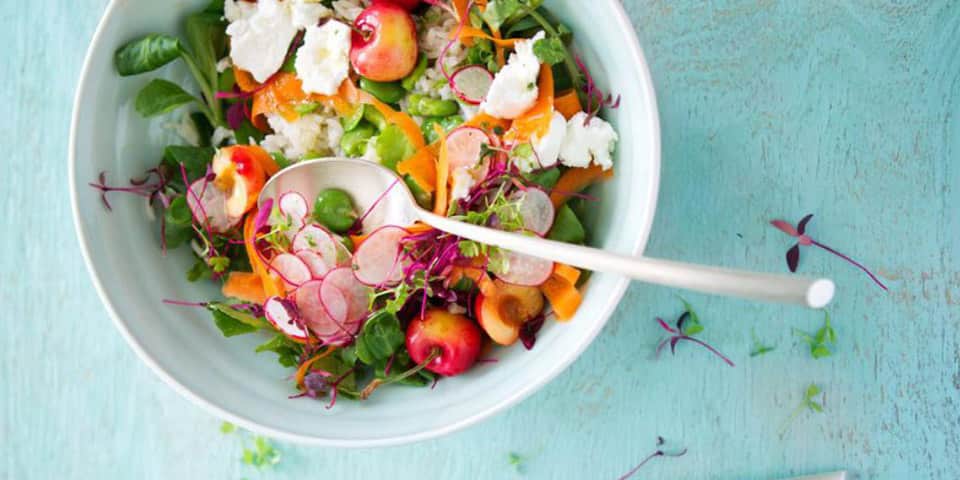 5 deliciosas receitas fáceis de saladas gourmet para aprender